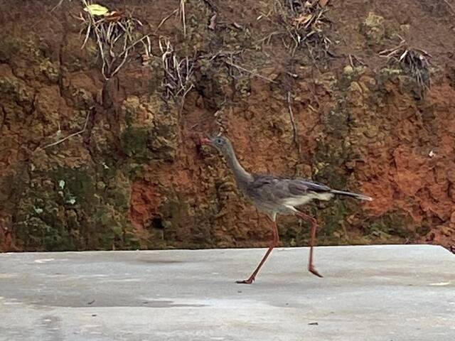 Venda em Centro - Pedra Bela