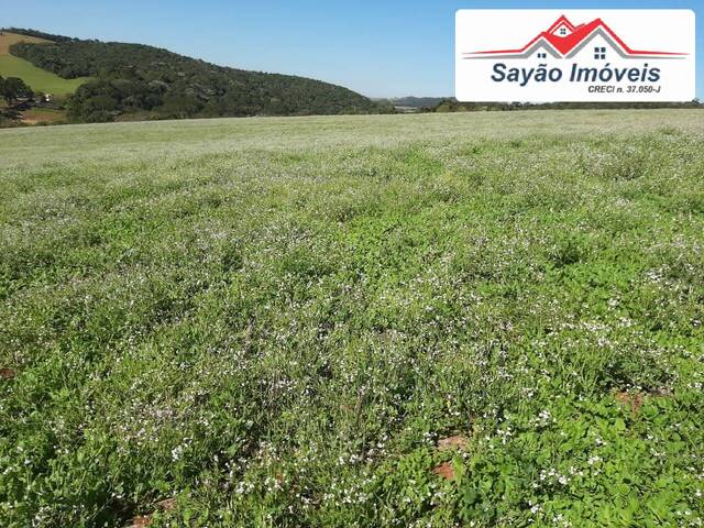 Venda em Área Rural de Bragança Paulista - Bragança Paulista