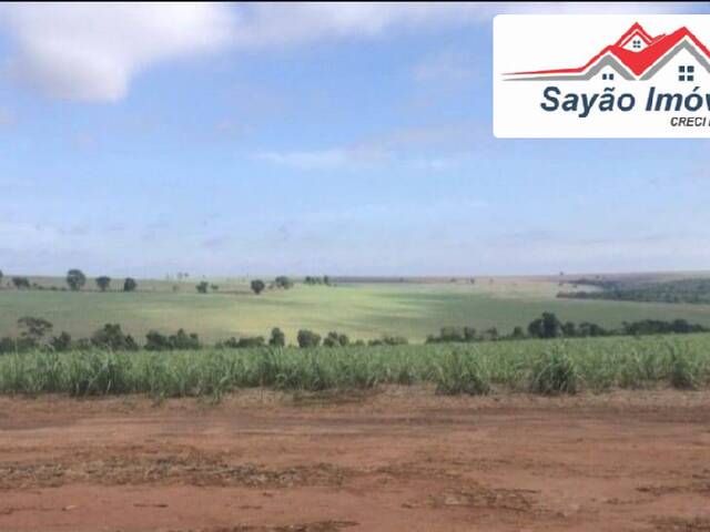 #2874 - Fazenda para Venda em Araraquara - SP - 3