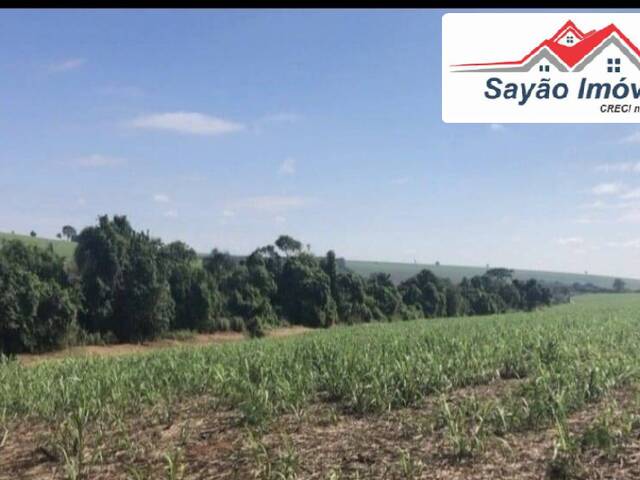#2874 - Fazenda para Venda em Araraquara - SP - 1