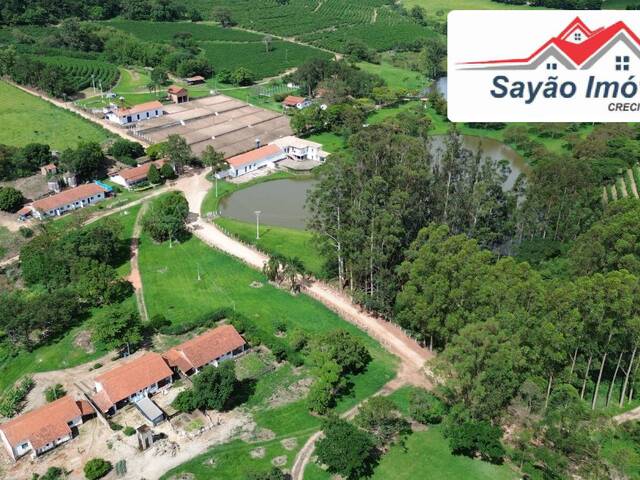 Fazenda para Venda em Amparo - 2