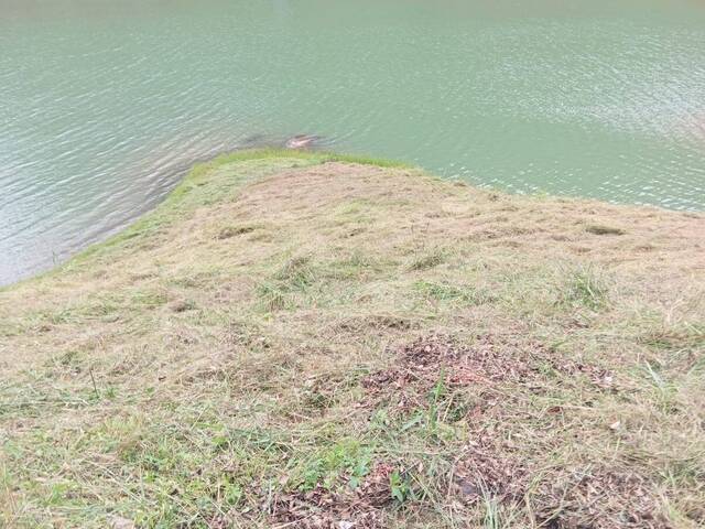 Chácaras Represa para Venda em Igaratá - 4