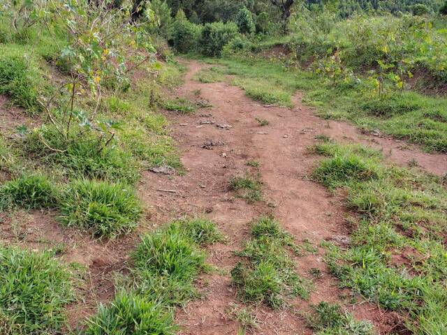 Sítio para Venda em Joanópolis - 5