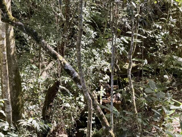Chácara para Venda em Nazaré Paulista - 5