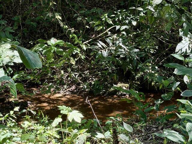 Chácara para Venda em Nazaré Paulista - 2