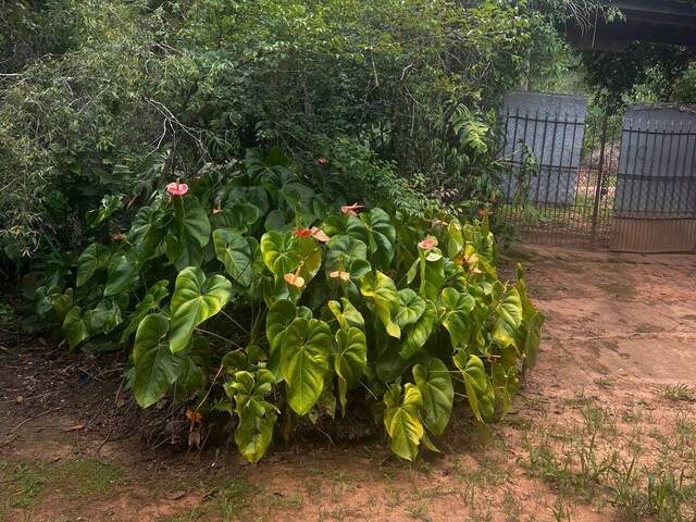 #2892 - Chácara em condomínio para Venda em Atibaia - SP - 3