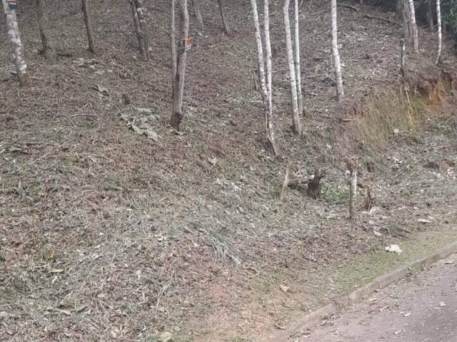 #2657 - Terreno em condomínio para Venda em Mairiporã - SP - 2