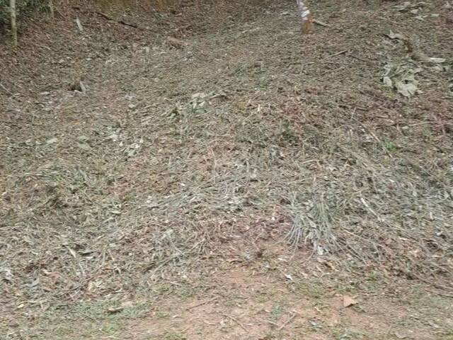 #2657 - Terreno em condomínio para Venda em Mairiporã - SP - 1
